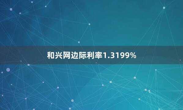 和兴网边际利率1.3199%