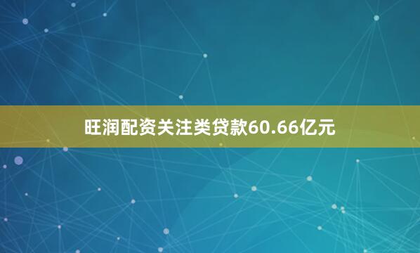 旺润配资关注类贷款60.66亿元