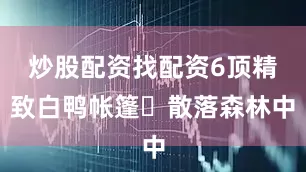 炒股配资找配资6顶精致白鸭帐篷⛺散落森林中