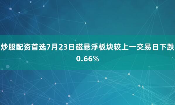 炒股配资首选7月23日磁悬浮板块较上一交易日下跌0.66%
