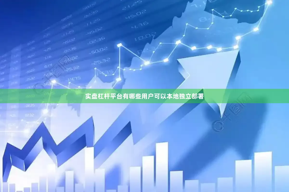 实盘杠杆平台有哪些用户可以本地独立部署